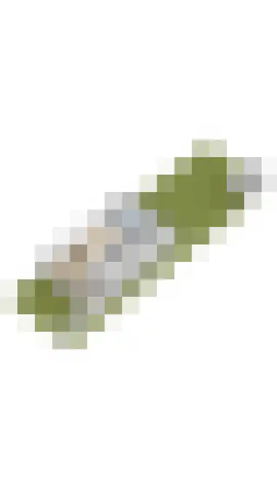 Hortensialaan 7 Aalsmeer thumbnail 52