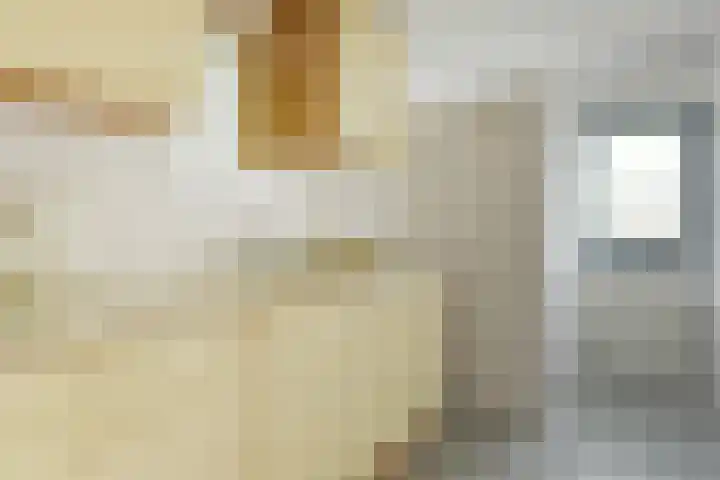 Hortensialaan 71 De Kwakel thumbnail 10