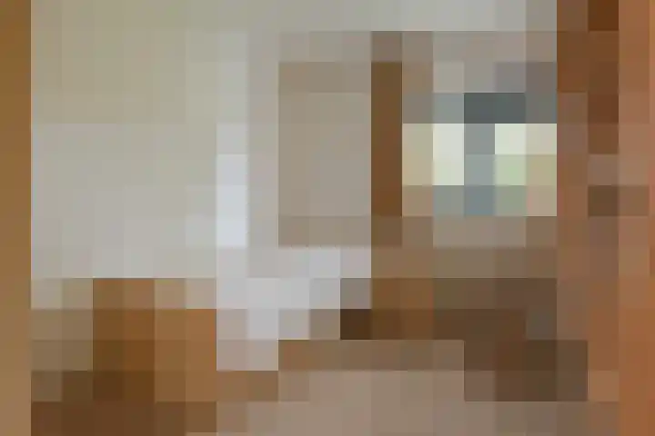 Hortensialaan 71 De Kwakel thumbnail 13