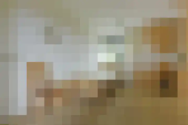 Hortensialaan 71 De Kwakel thumbnail 14