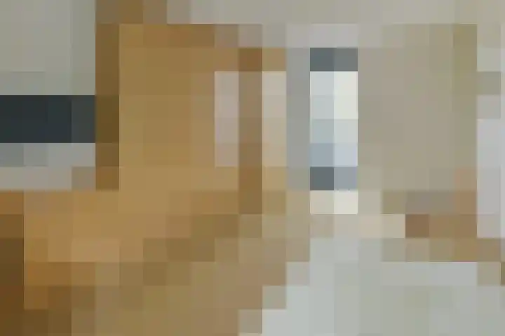 Hortensialaan 71 De Kwakel thumbnail 15