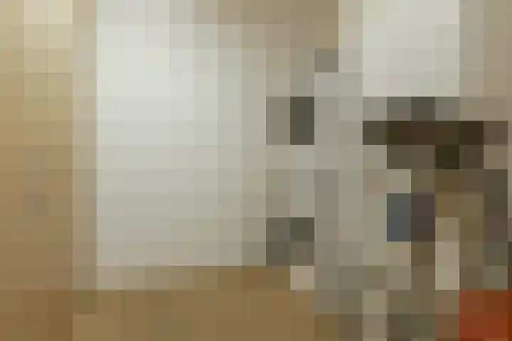 Hortensialaan 71 De Kwakel thumbnail 16
