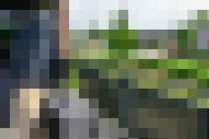 Hortensialaan 71 De Kwakel thumbnail 18