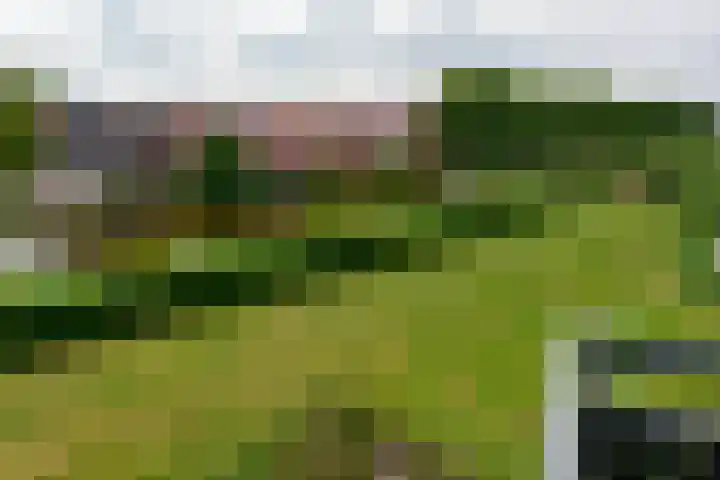 Hortensialaan 71 De Kwakel thumbnail 19