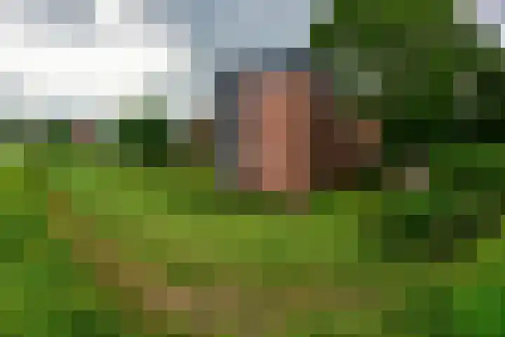 Hortensialaan 71 De Kwakel thumbnail 22