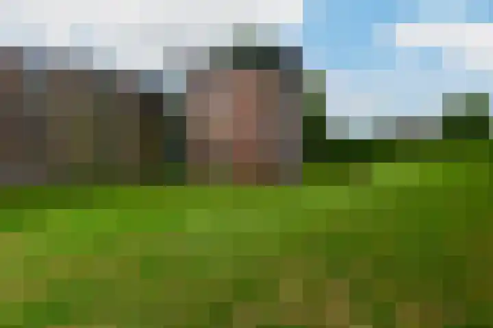 Hortensialaan 71 De Kwakel thumbnail 24