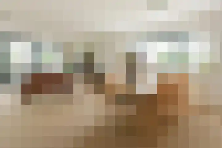 Hortensialaan 71 De Kwakel thumbnail 4