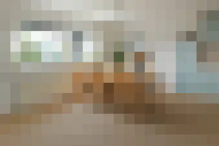 Hortensialaan 71 De Kwakel thumbnail 5