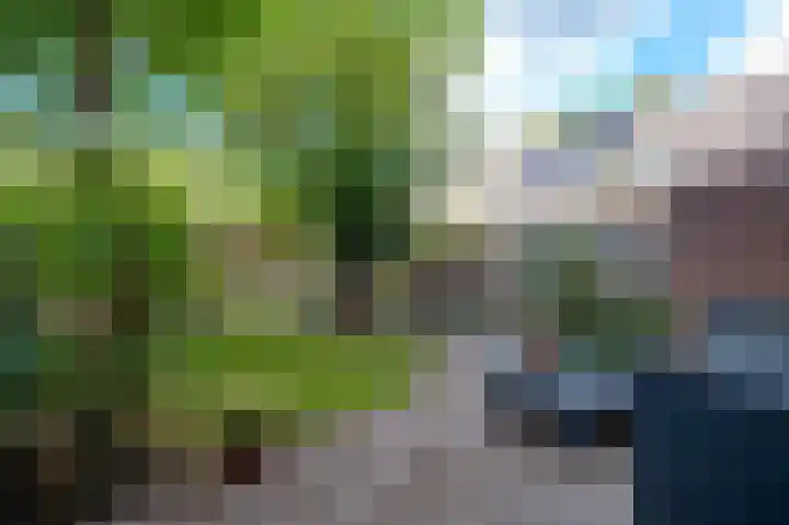 Hortensialaan 78 Groningen thumbnail 31