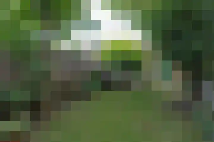 Hortensialaan 78 Groningen thumbnail 33