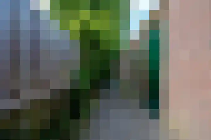 Hortensialaan 78 Groningen thumbnail 37