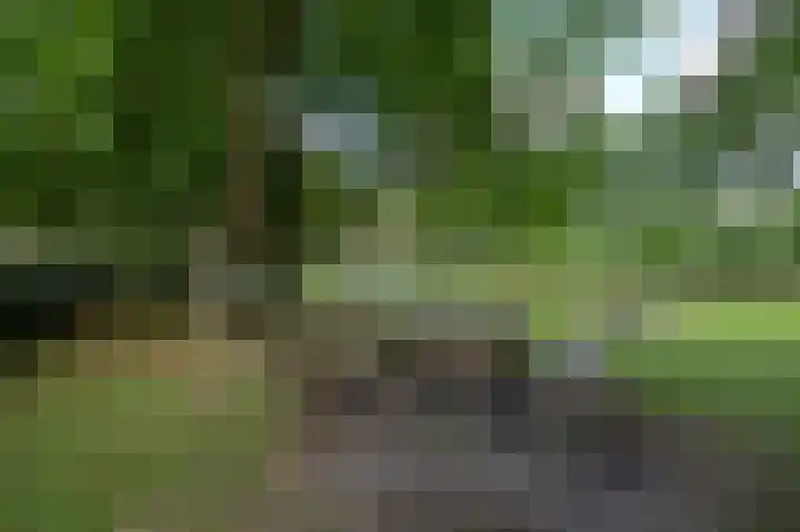 Hortensialaan 78 Groningen thumbnail 40