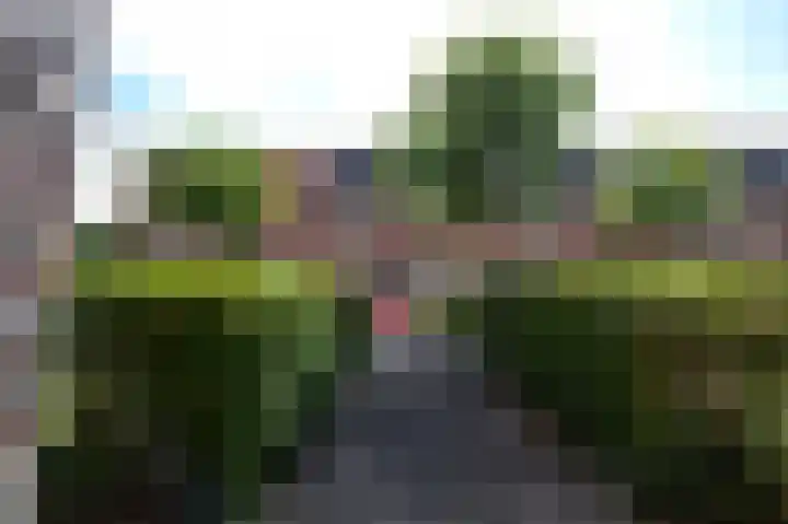 Hortensialaan 78 Groningen thumbnail 8