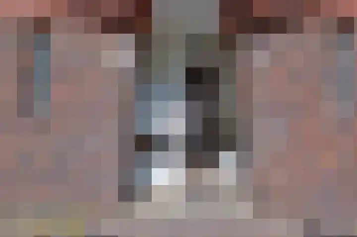 Hortensialaan 78 Groningen thumbnail 9