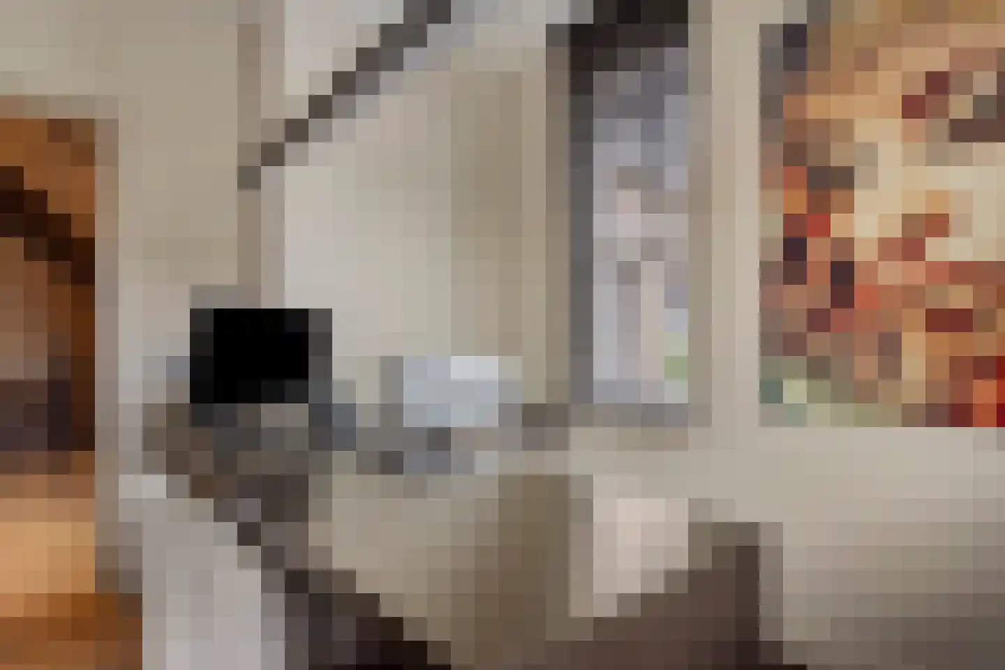 Hortensialaan 8 Halsteren thumbnail 11