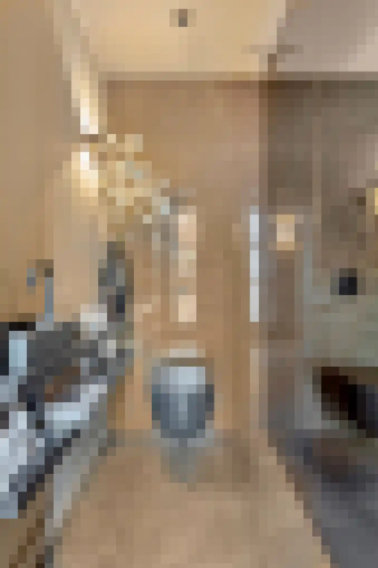 Hortensialaan 8 Halsteren thumbnail 12
