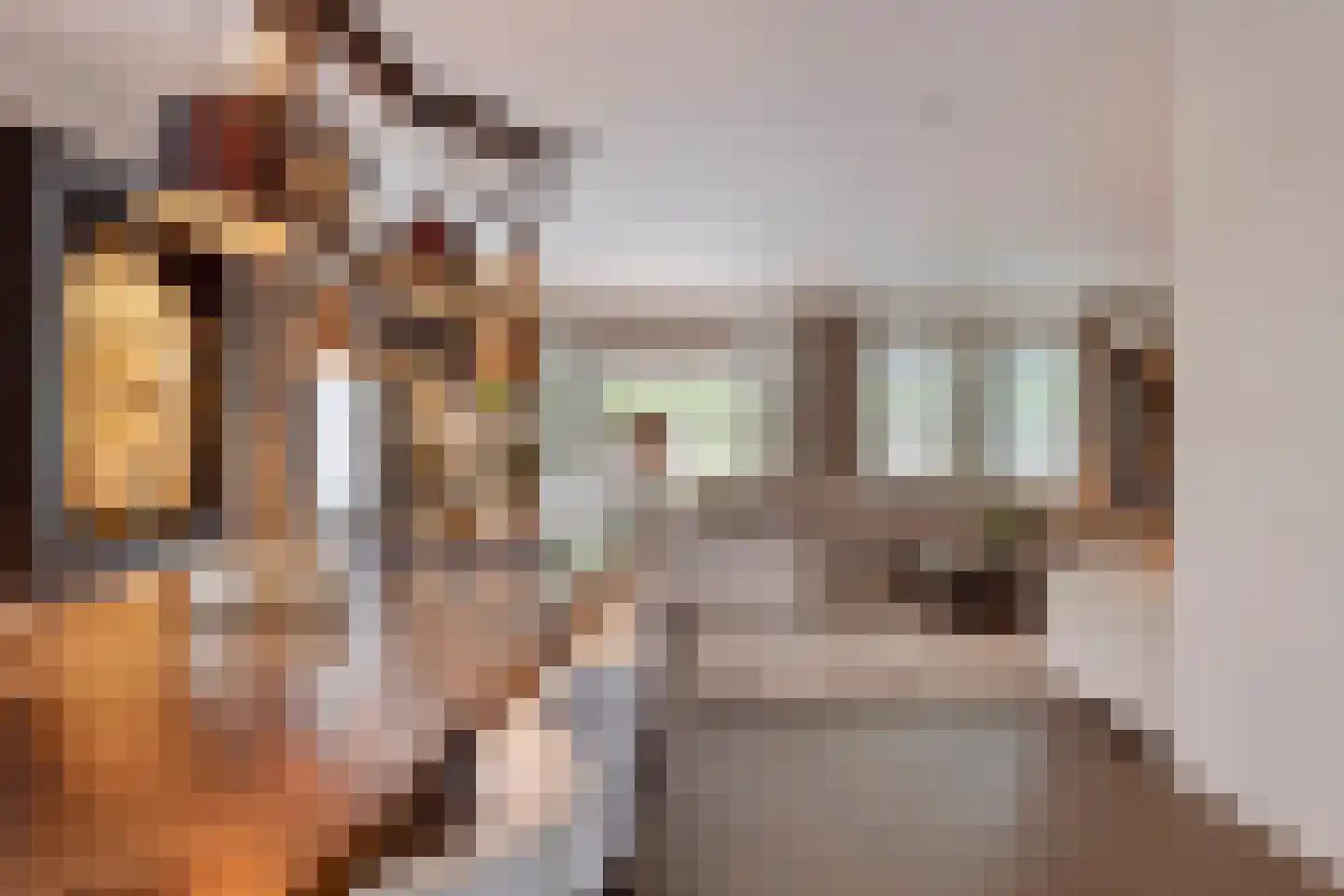 Hortensialaan 8 Halsteren thumbnail 13