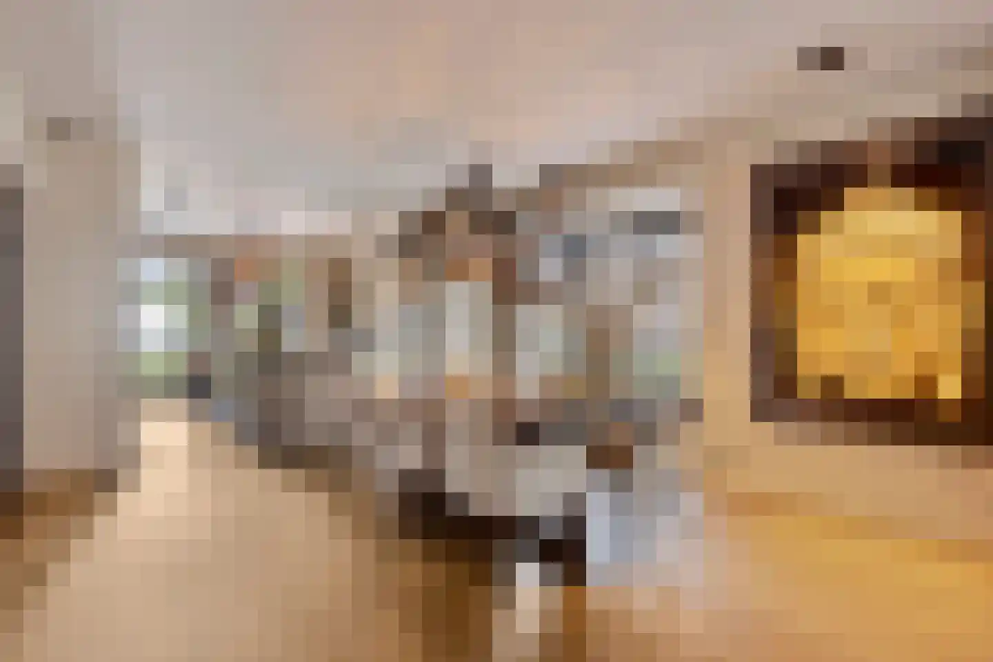Hortensialaan 8 Halsteren thumbnail 16