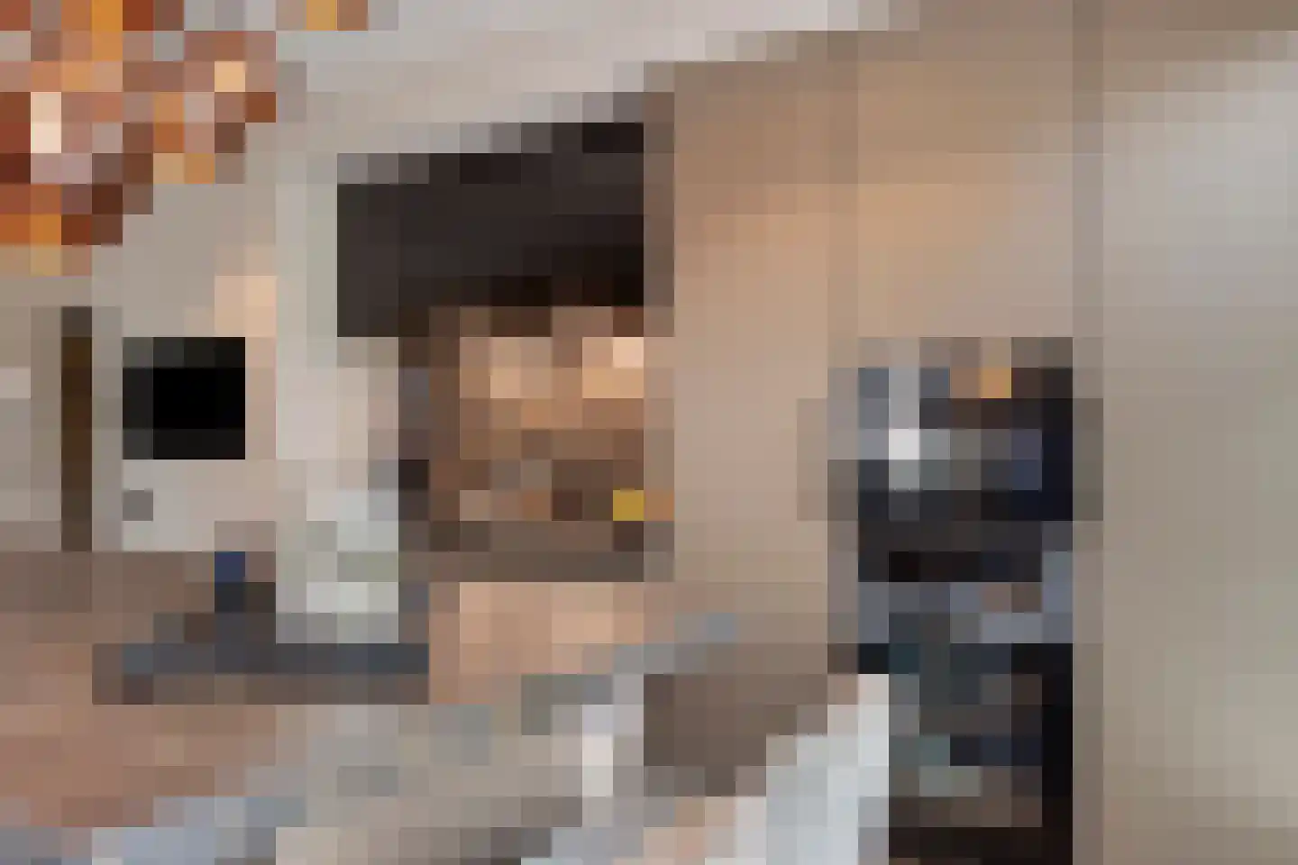 Hortensialaan 8 Halsteren thumbnail 19