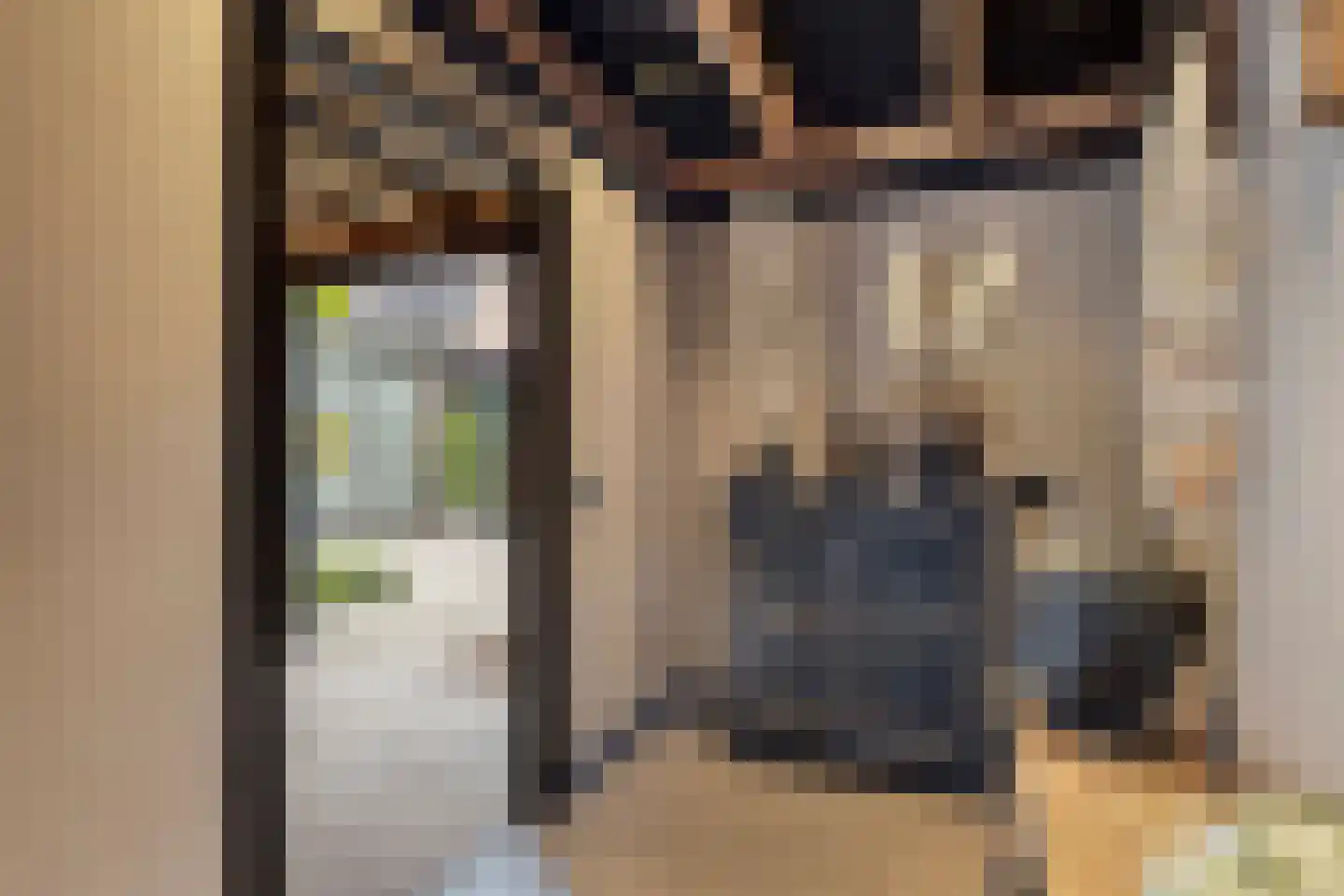 Hortensialaan 8 Halsteren thumbnail 21