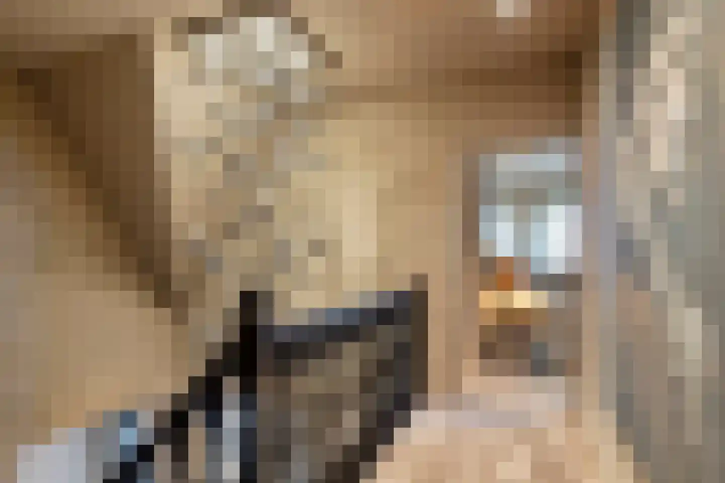 Hortensialaan 8 Halsteren thumbnail 23