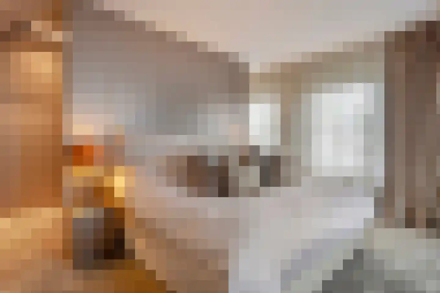 Hortensialaan 8 Halsteren thumbnail 24