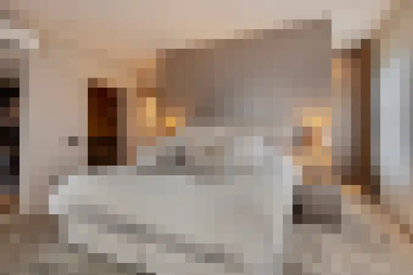 Hortensialaan 8 Halsteren thumbnail 25