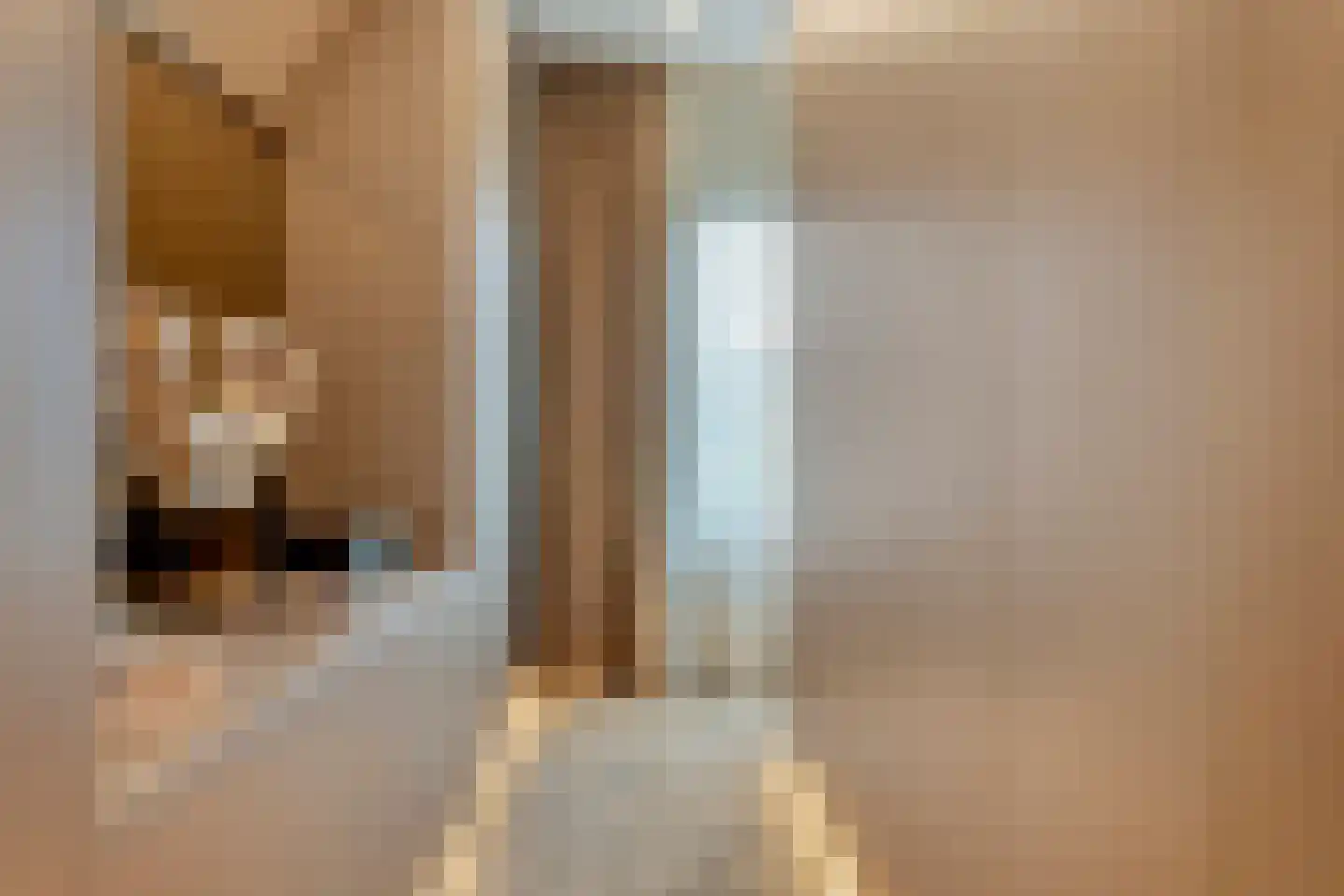 Hortensialaan 8 Halsteren thumbnail 26