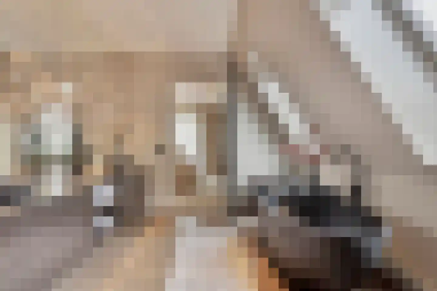 Hortensialaan 8 Halsteren thumbnail 27