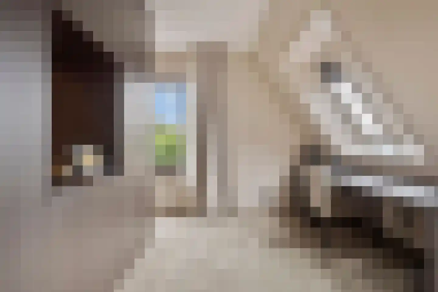 Hortensialaan 8 Halsteren thumbnail 30