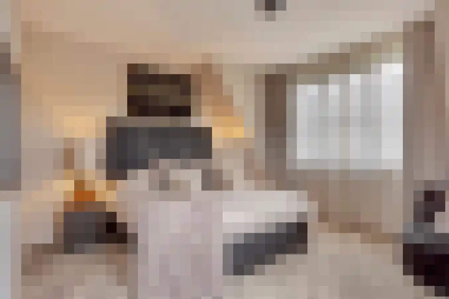 Hortensialaan 8 Halsteren thumbnail 32