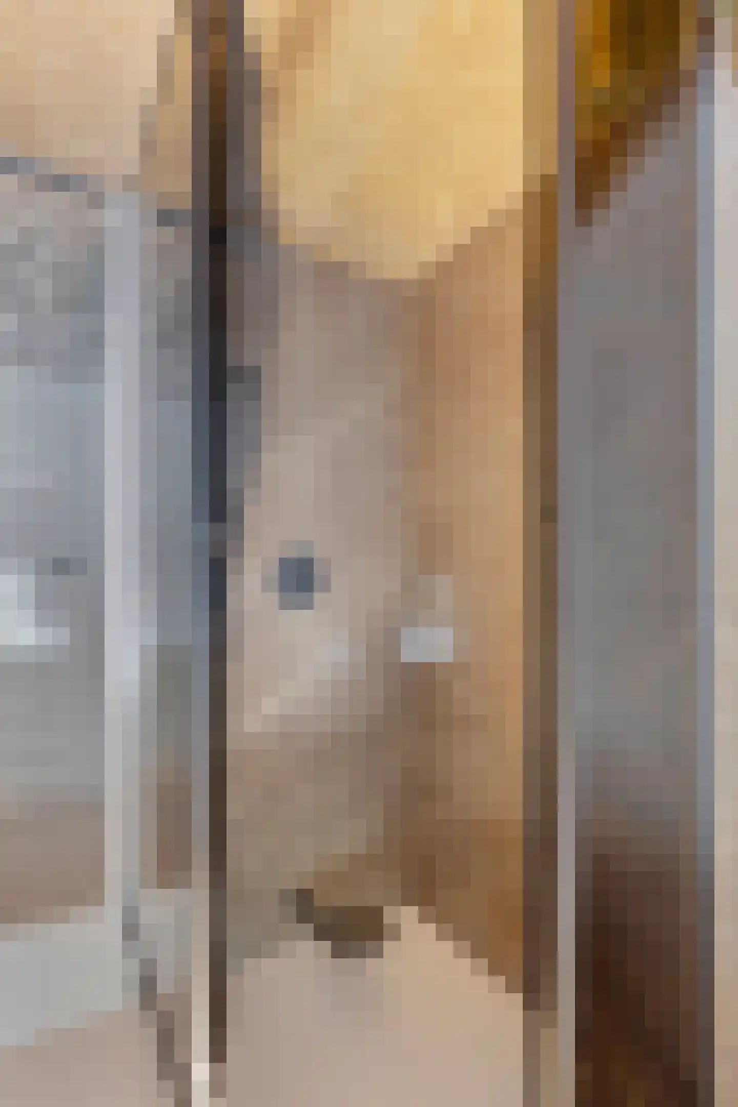 Hortensialaan 8 Halsteren thumbnail 35