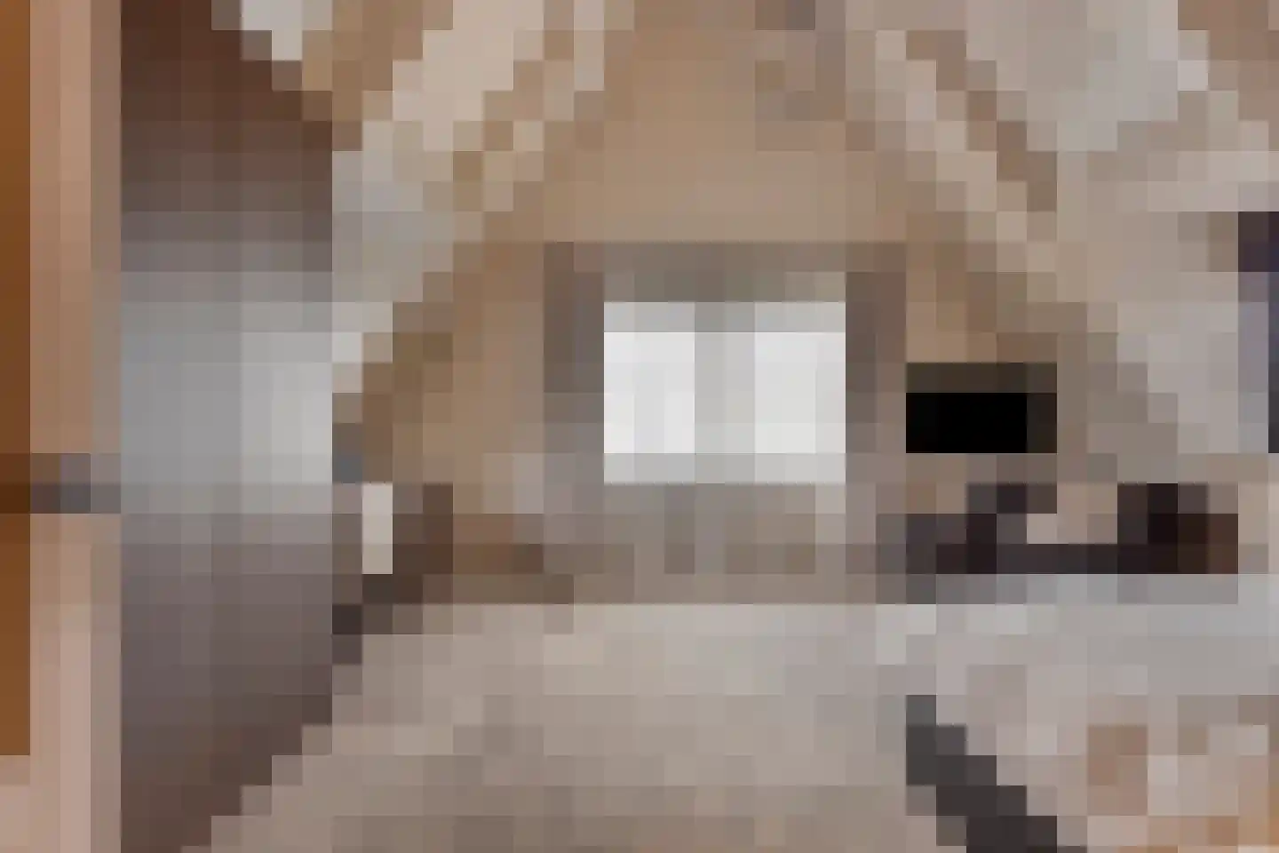 Hortensialaan 8 Halsteren thumbnail 36