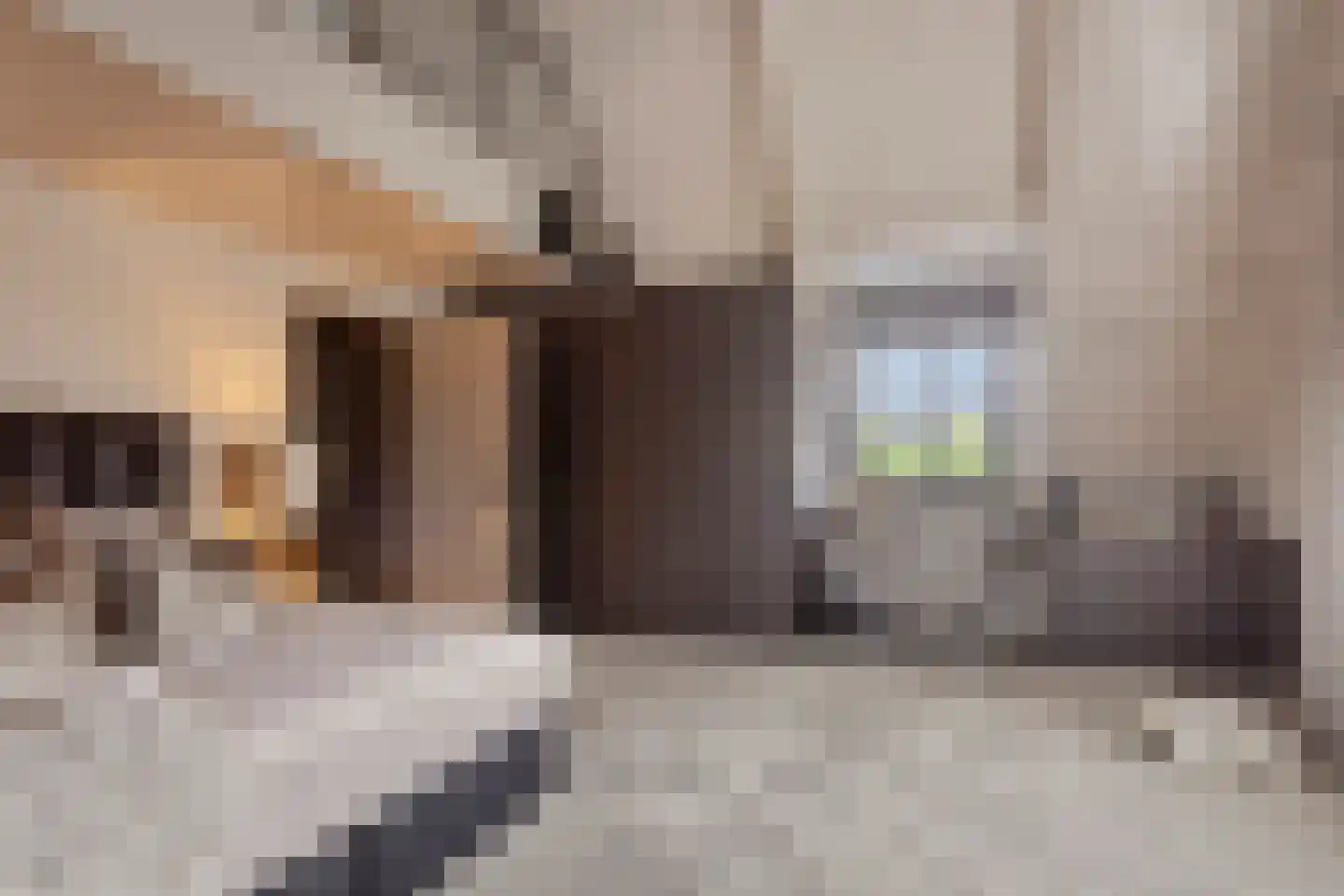 Hortensialaan 8 Halsteren thumbnail 37