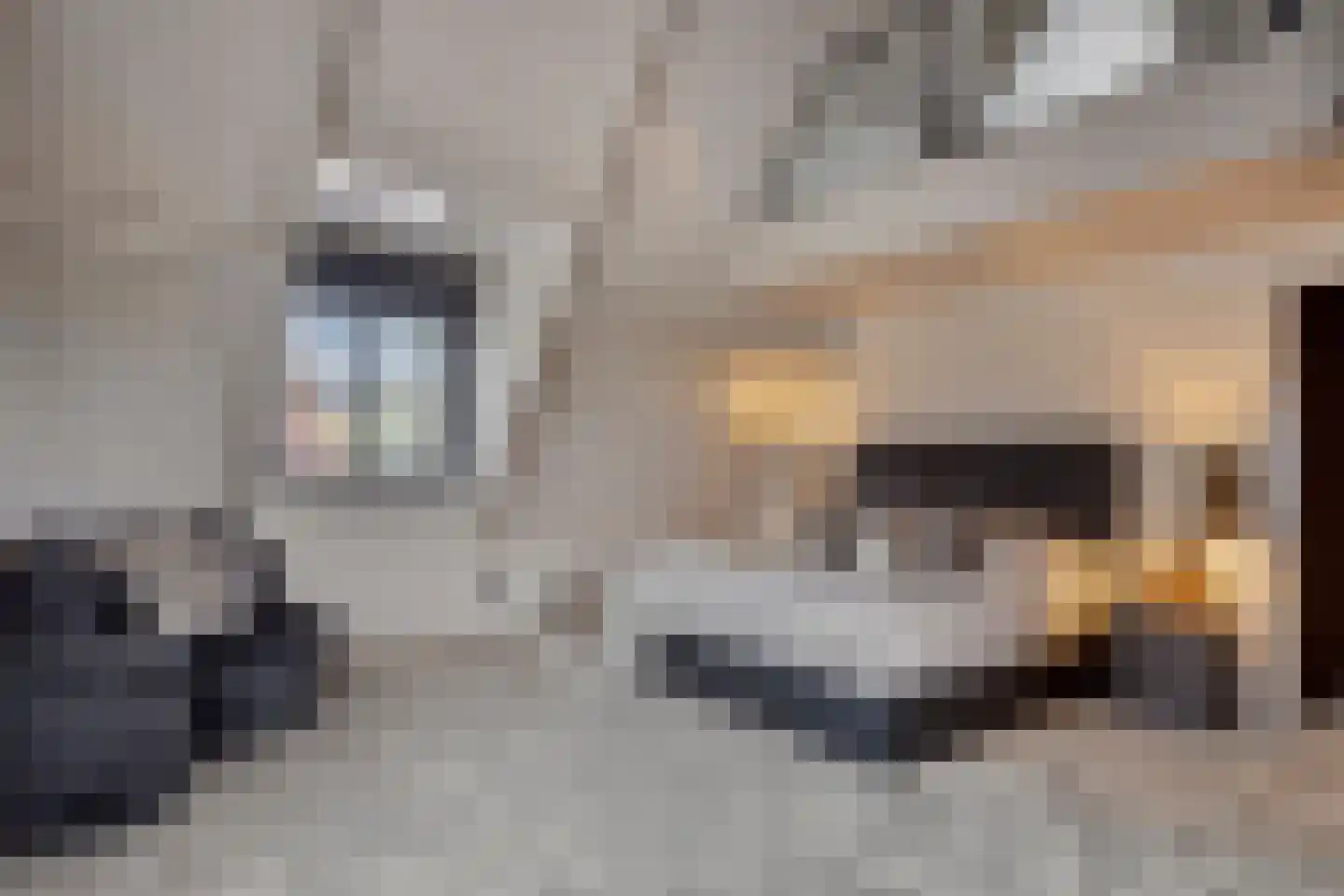 Hortensialaan 8 Halsteren thumbnail 38