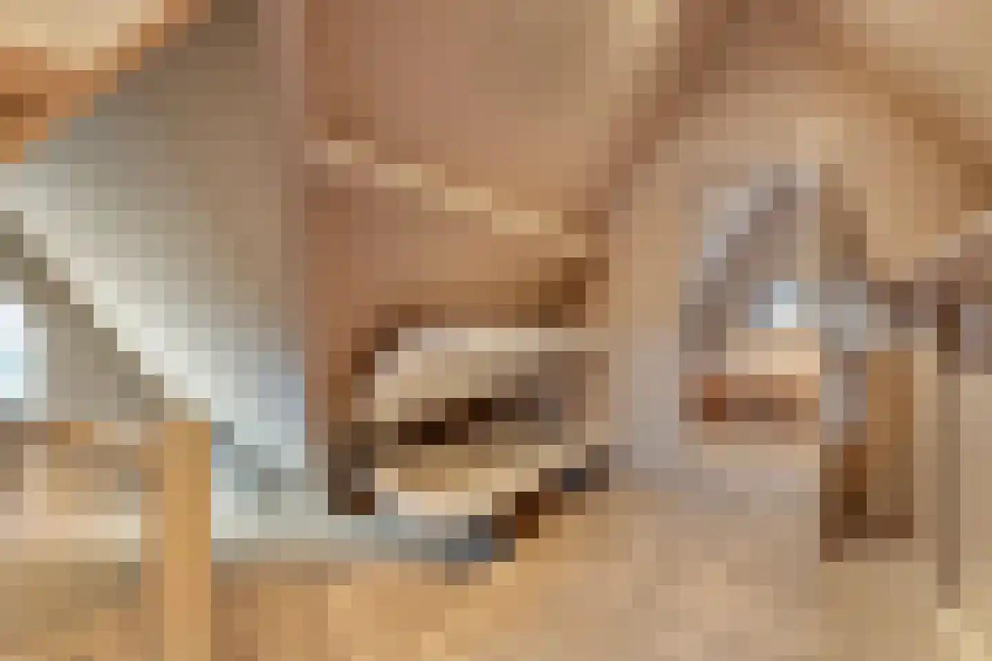 Hortensialaan 8 Halsteren thumbnail 39