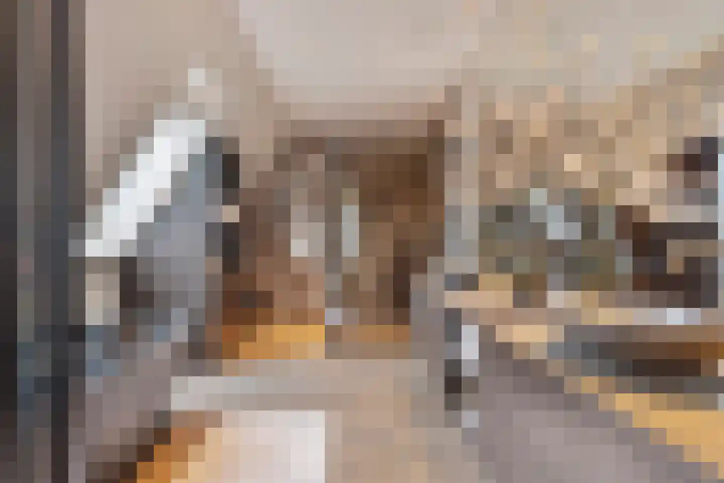 Hortensialaan 8 Halsteren thumbnail 4