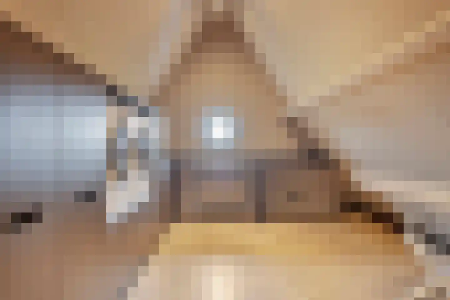 Hortensialaan 8 Halsteren thumbnail 41