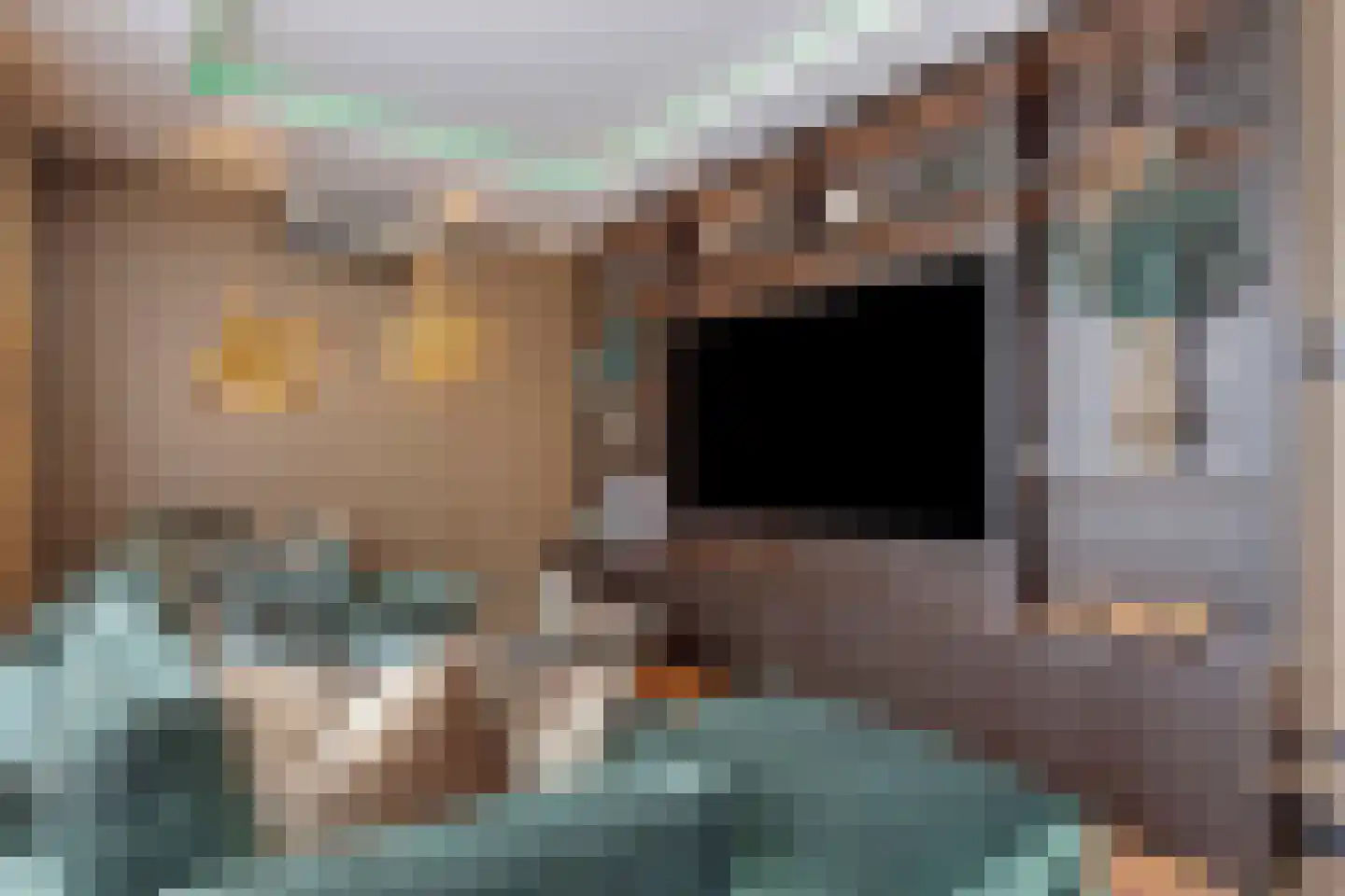 Hortensialaan 8 Halsteren thumbnail 42