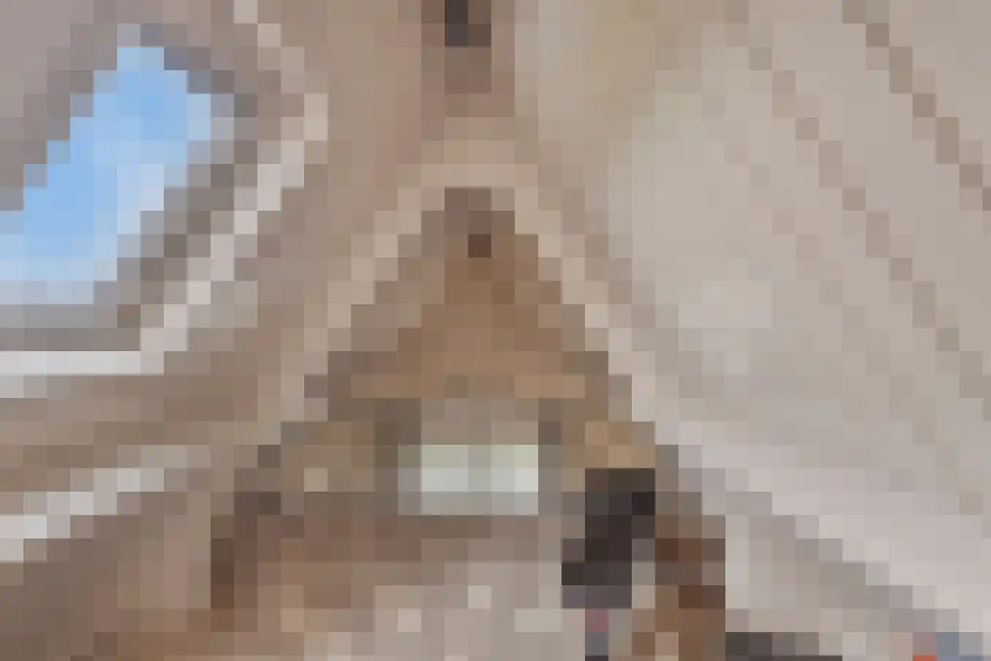 Hortensialaan 8 Halsteren thumbnail 43