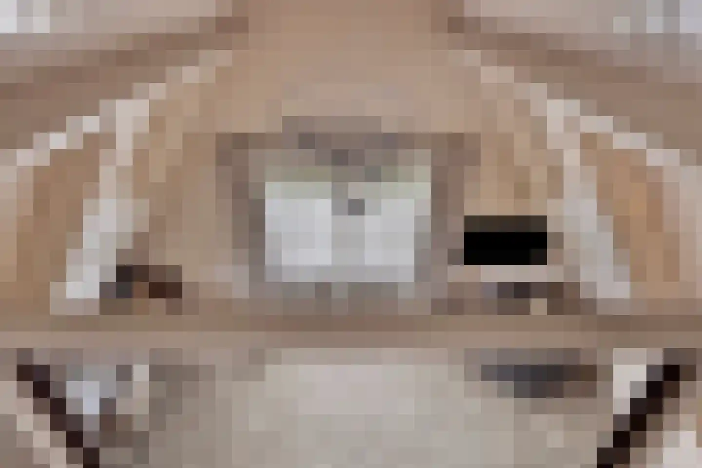 Hortensialaan 8 Halsteren thumbnail 44