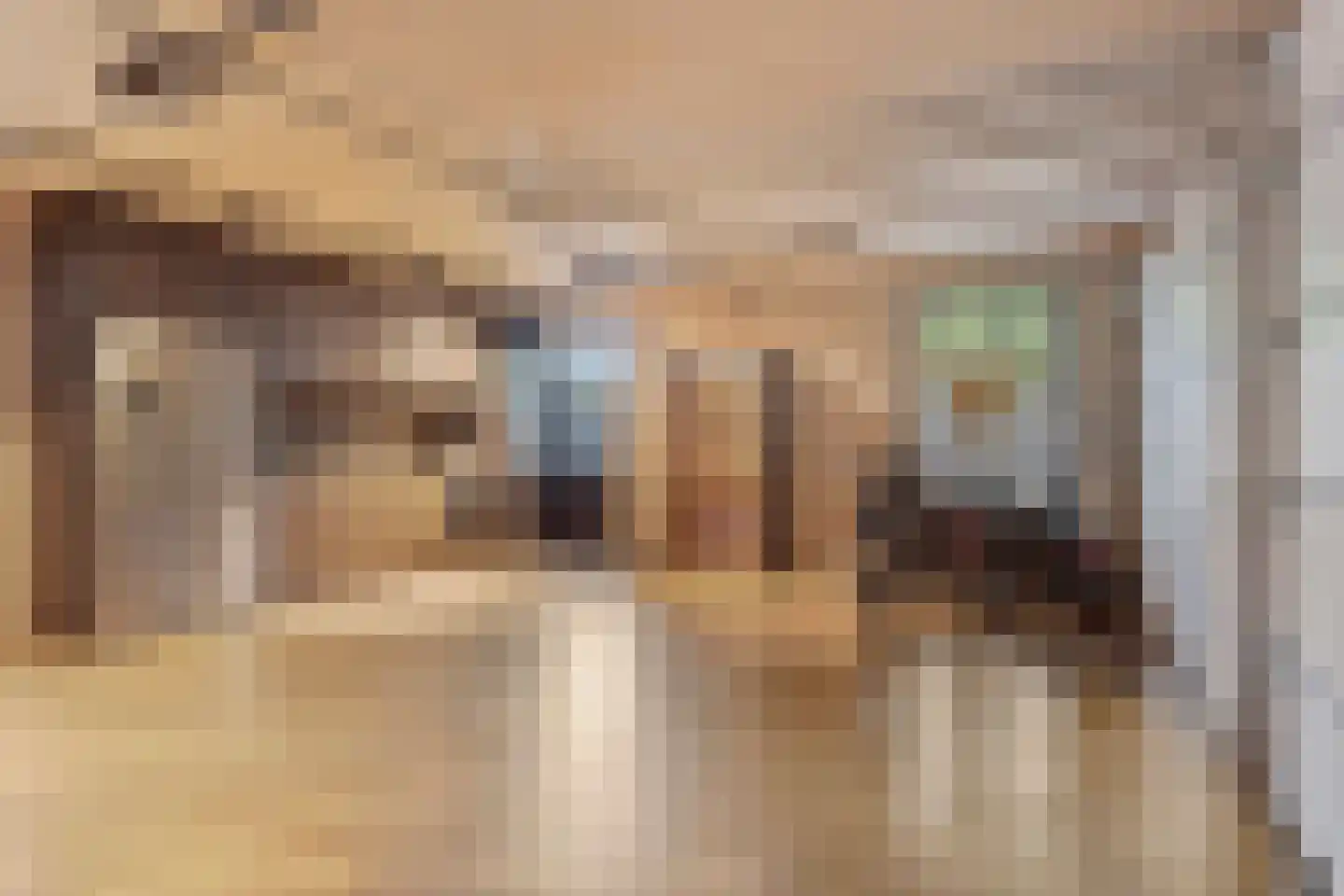 Hortensialaan 8 Halsteren thumbnail 45