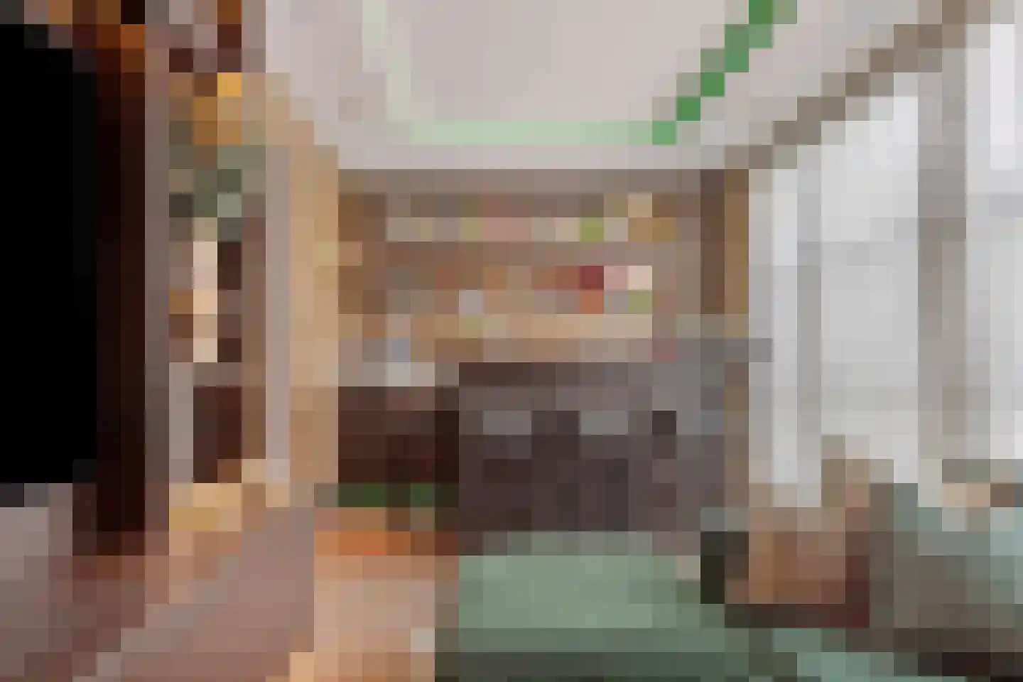 Hortensialaan 8 Halsteren thumbnail 47