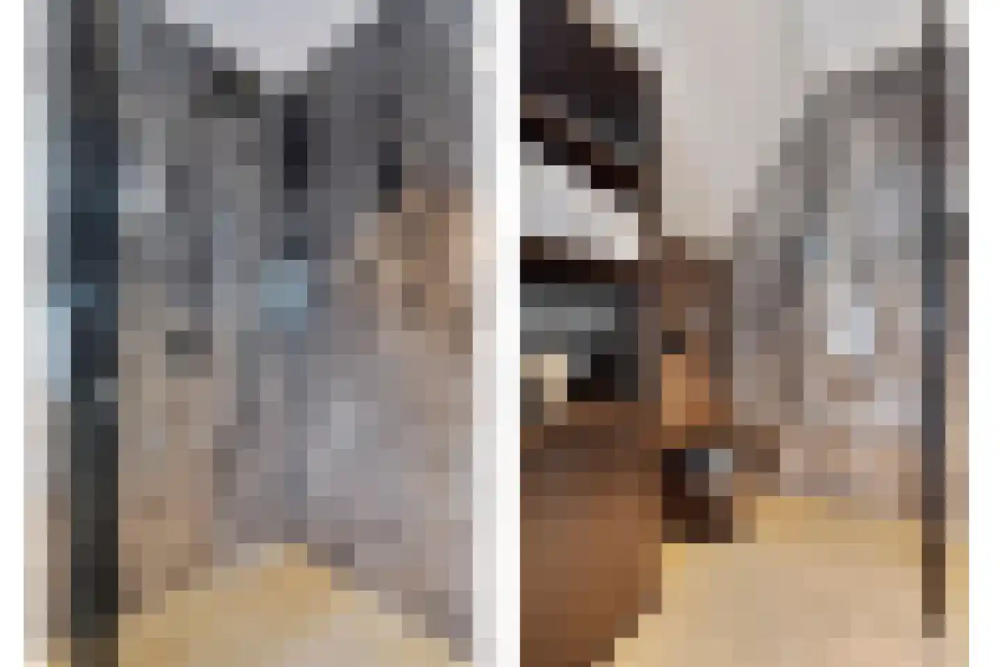 Hortensialaan 8 Halsteren thumbnail 6