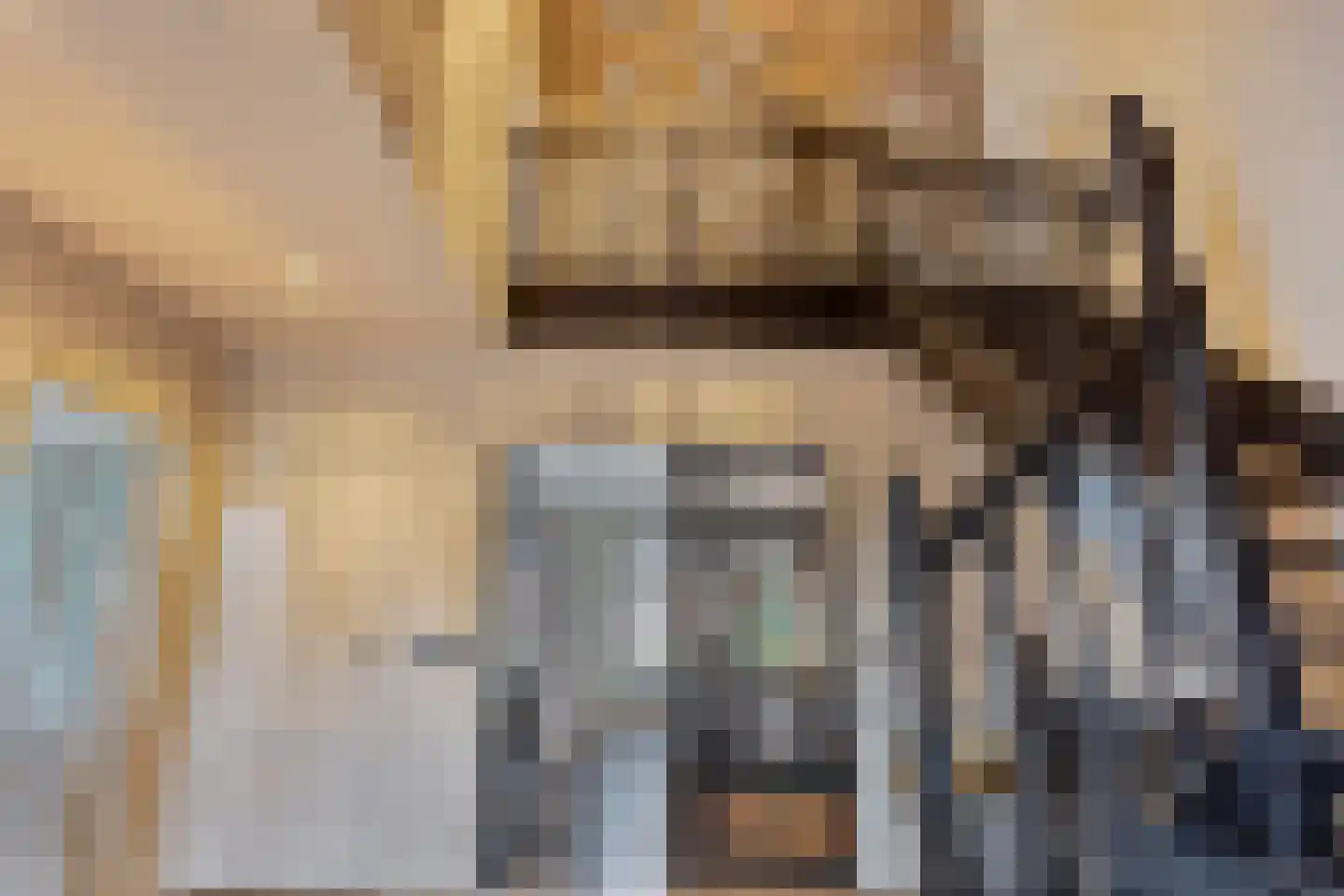 Hortensialaan 8 Halsteren thumbnail 9