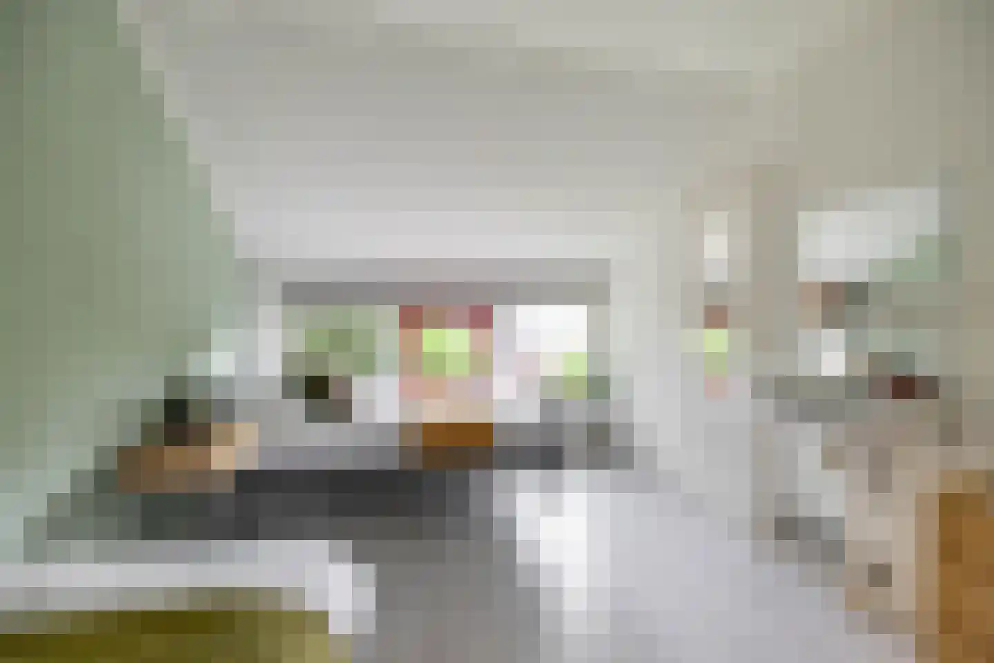 Hortensialaan 85 a Groningen thumbnail 24