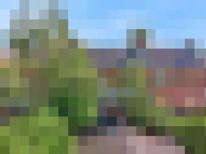 Hortensialaan 88 Aalsmeer thumbnail 33