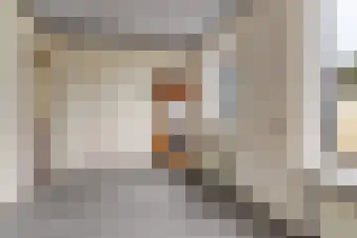Hortensialaan 90 Aalsmeer thumbnail 7