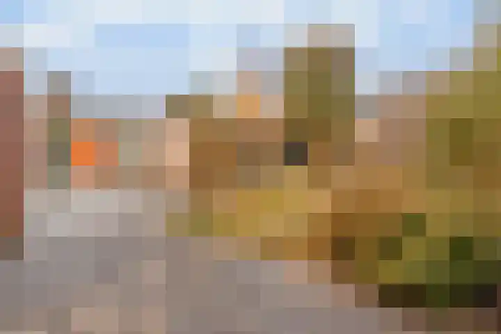 Hortensialaan 90 Aalsmeer thumbnail 9