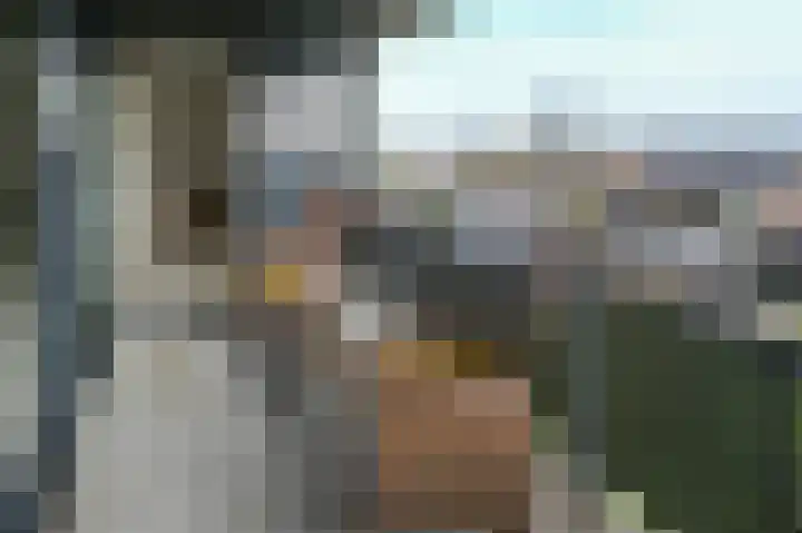 Hortensialaan 91 De Kwakel thumbnail 10